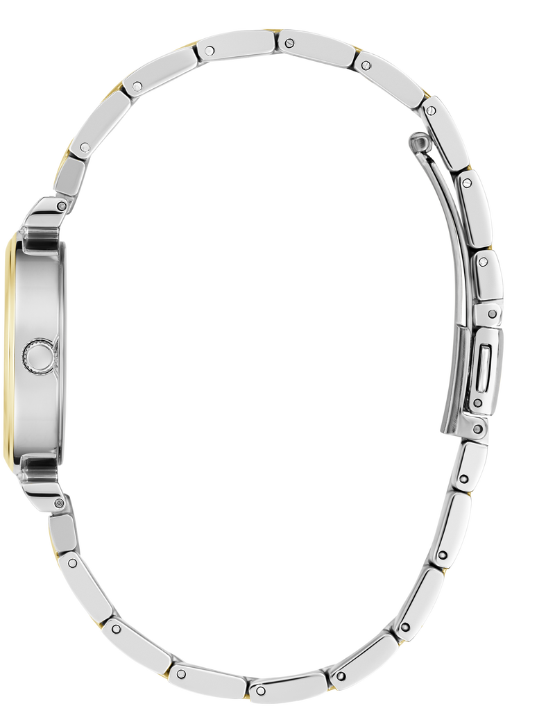 Ladies 2-Tone Gold Tone Analog Watch