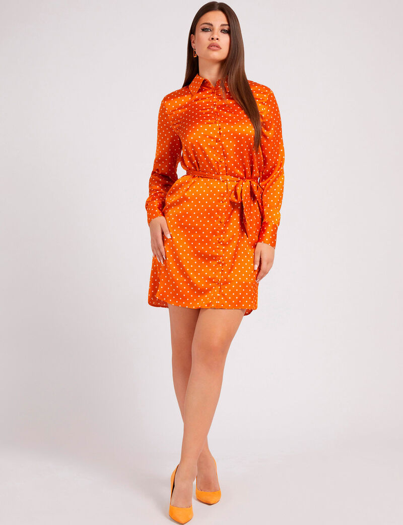 Dots Print Chemisier Dress