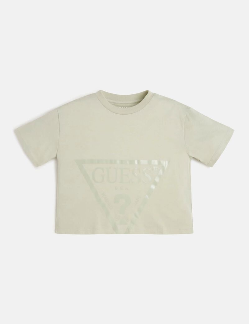 Front Triangle Logo T-Shirt