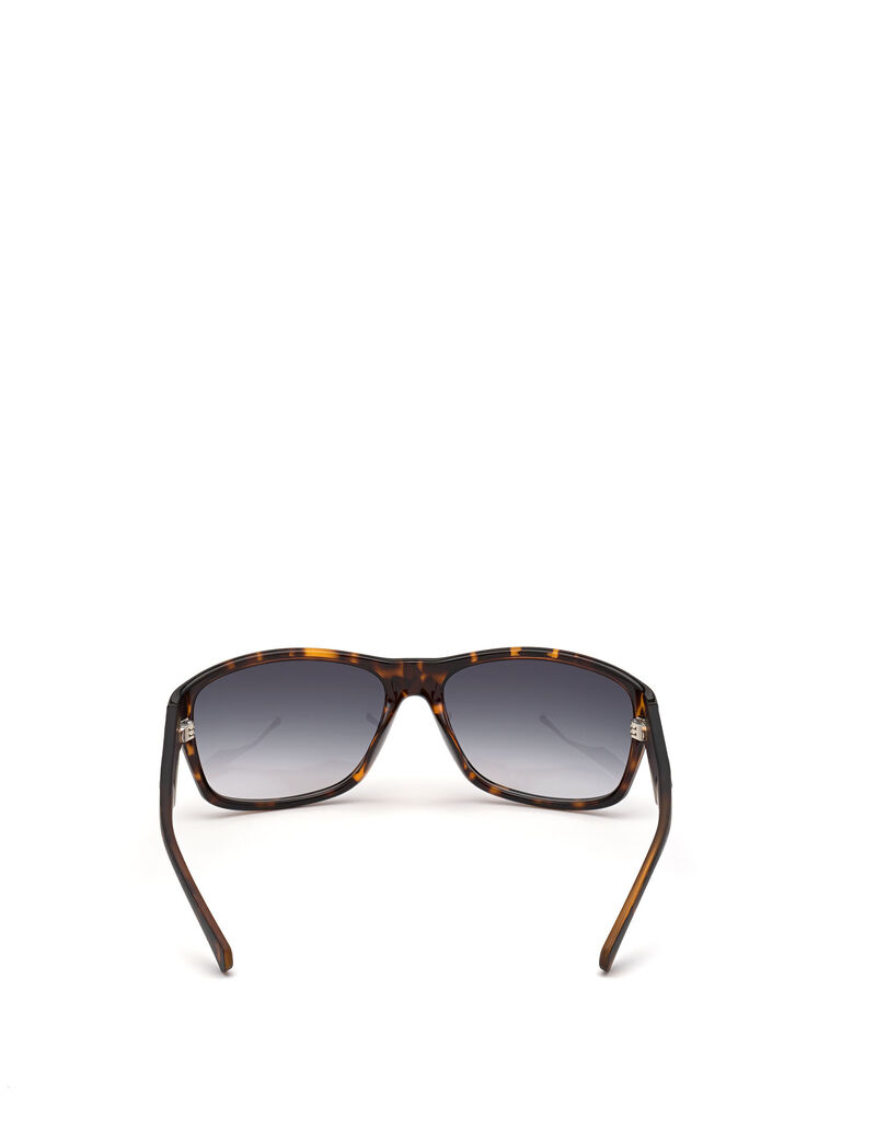 Navigator Sunglasses