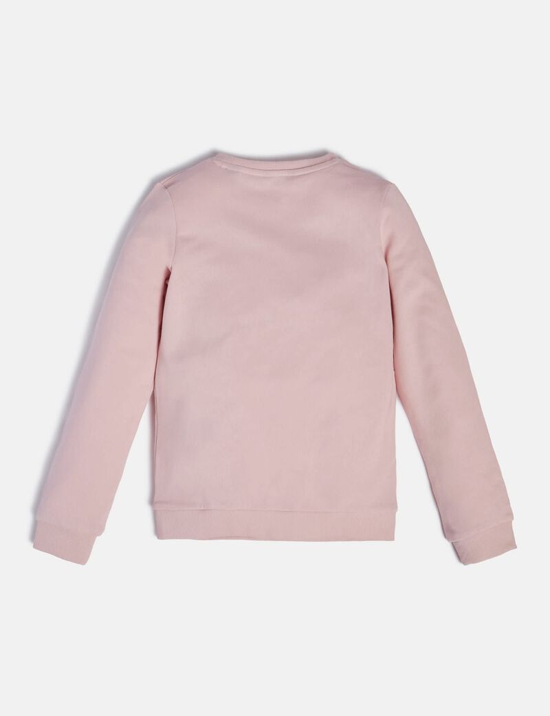 FOIL TRIANGLE LOGO SWEATSHIRT