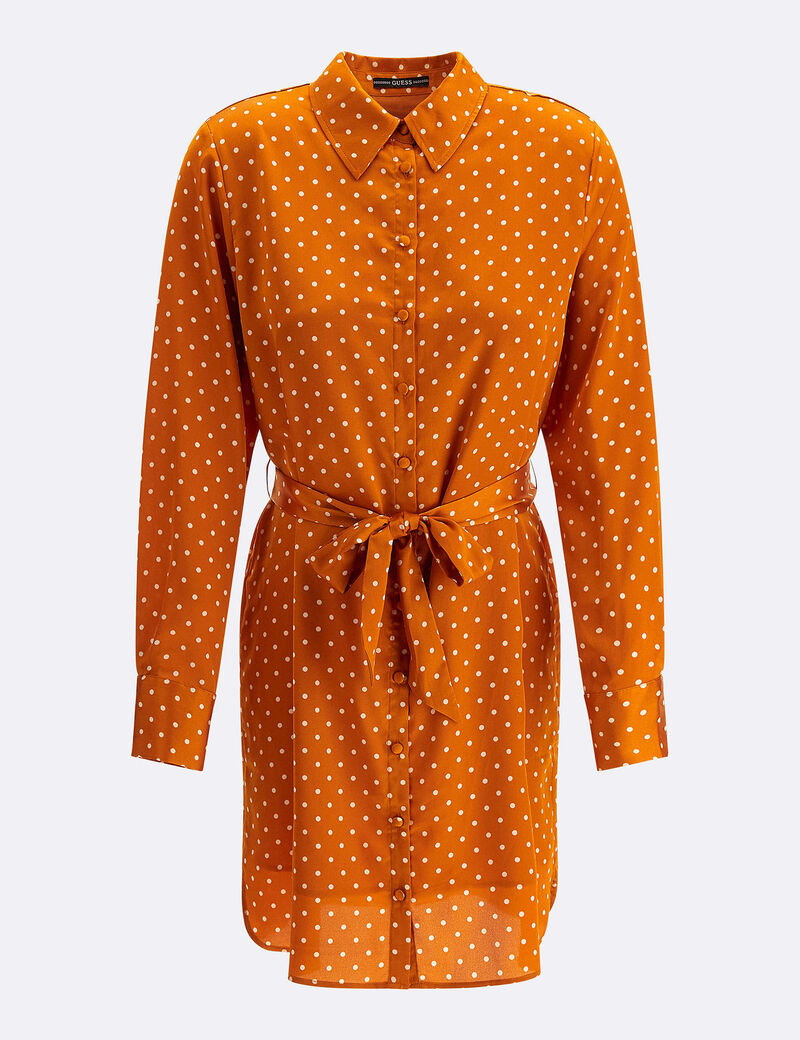 Dots Print Chemisier Dress