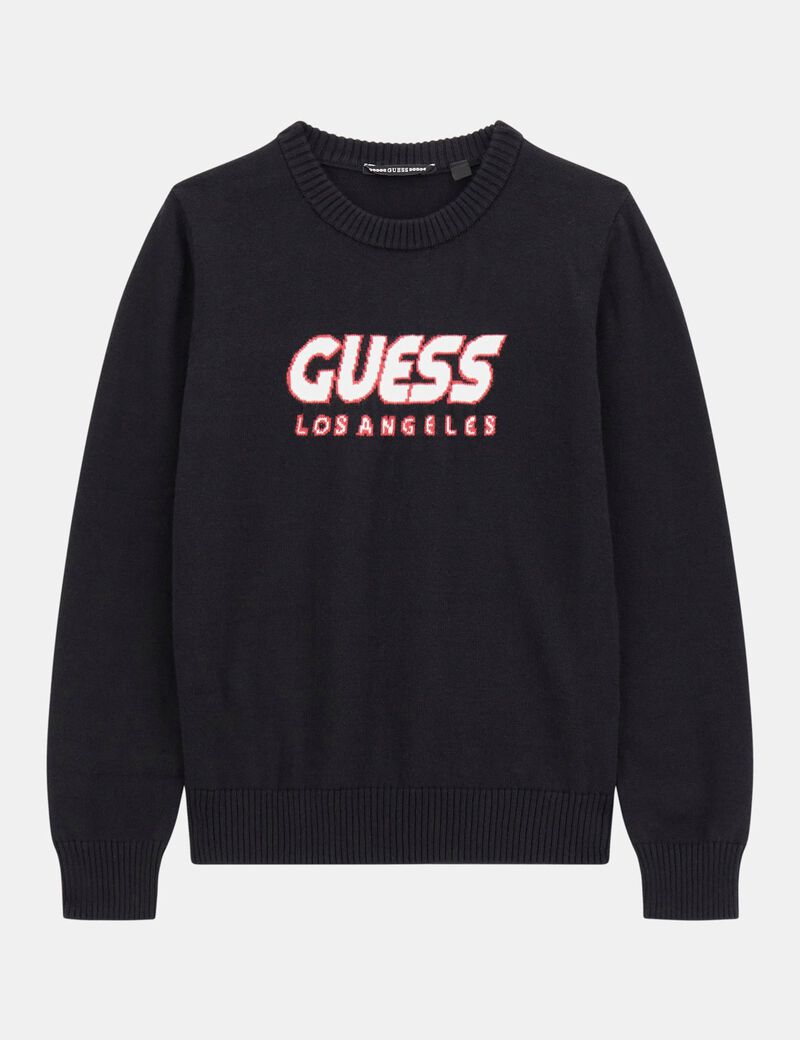 Long sleeeve sweater