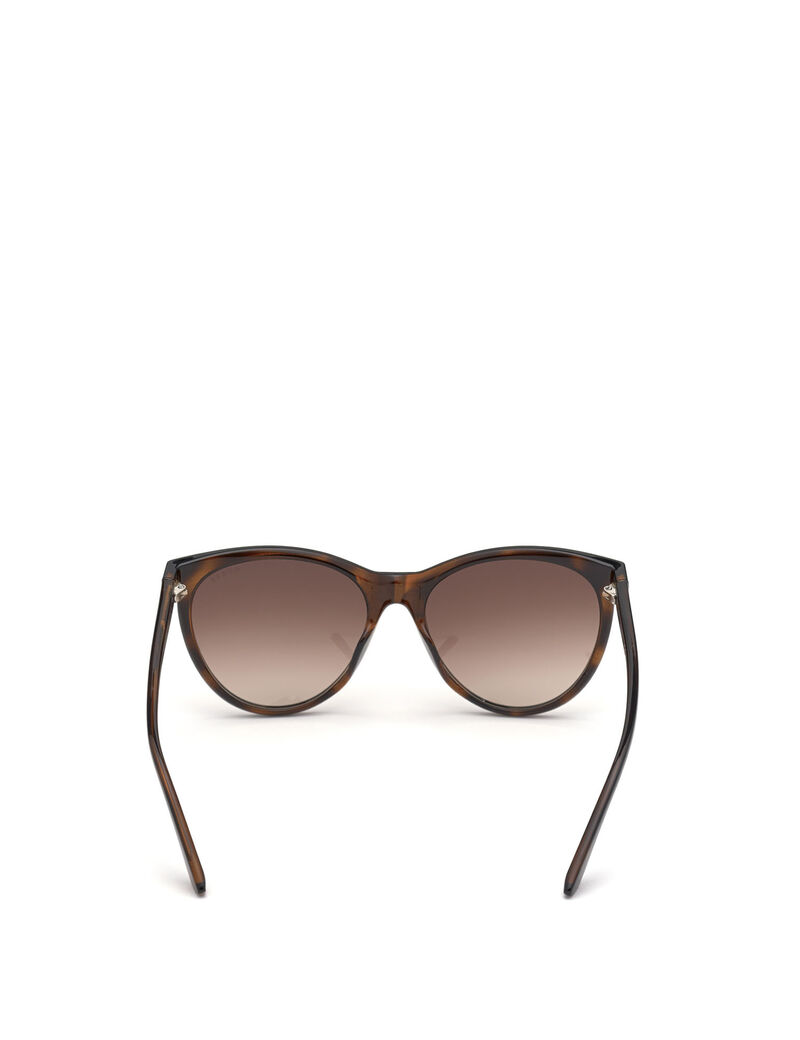 Round Sunglasses Model