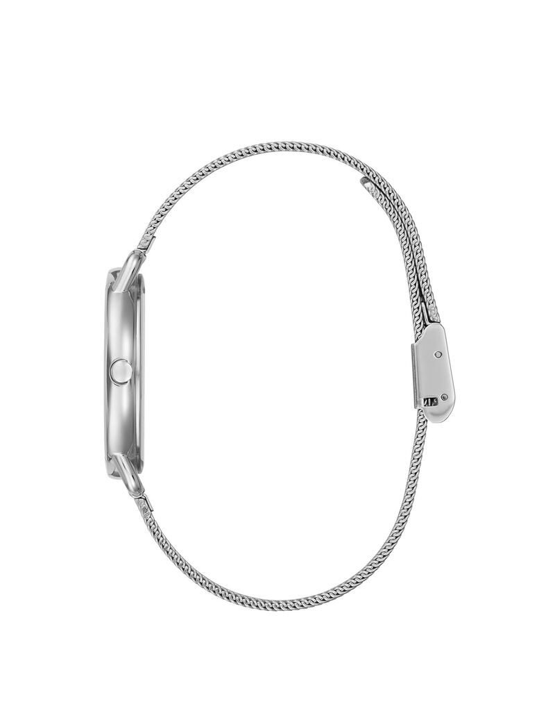 Silver Mesh Watch