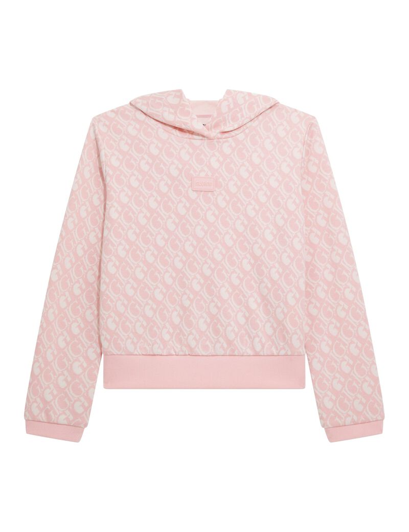 Hooded Ls Active Top_Mini Me