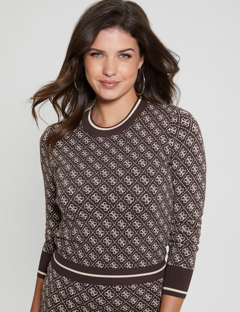 4G logo sweater