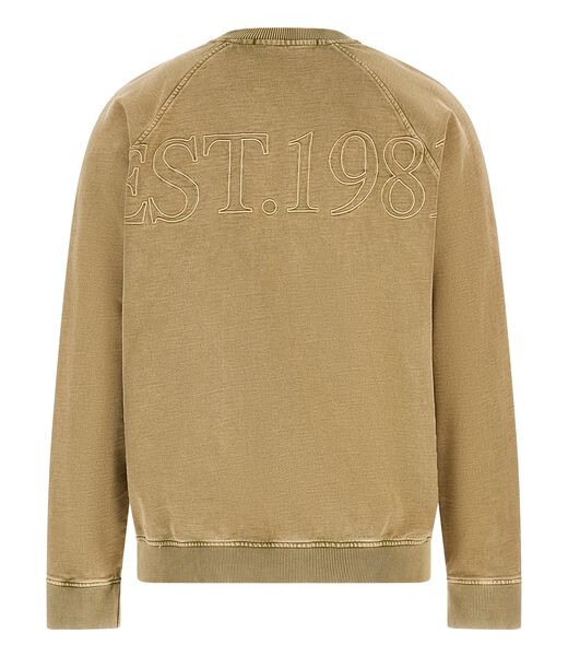 Guess Raglan Sweatshirt