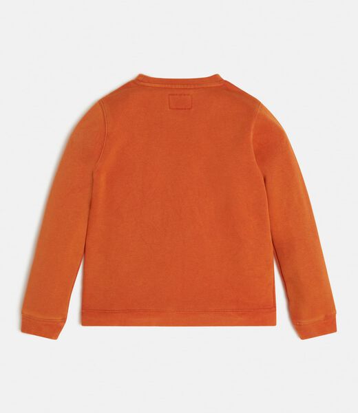 Boys Long-Sleeve Jumper