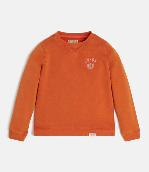Boys Long-Sleeve Jumper