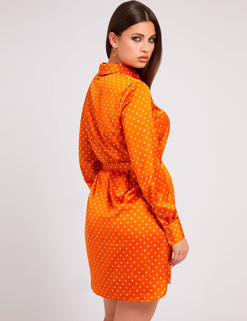 Dots Print Chemisier Dress